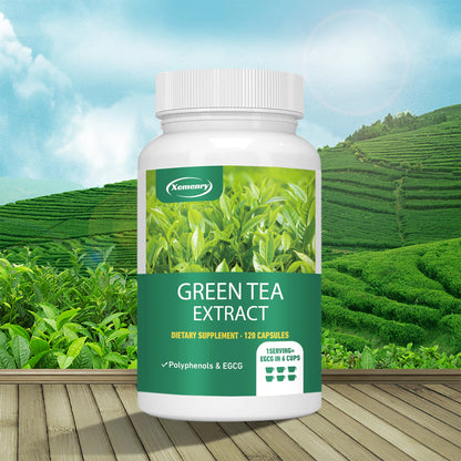 Green Tea Extract - 120 Capsules