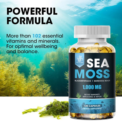 Vegetarian Diet Organic Sea Moss